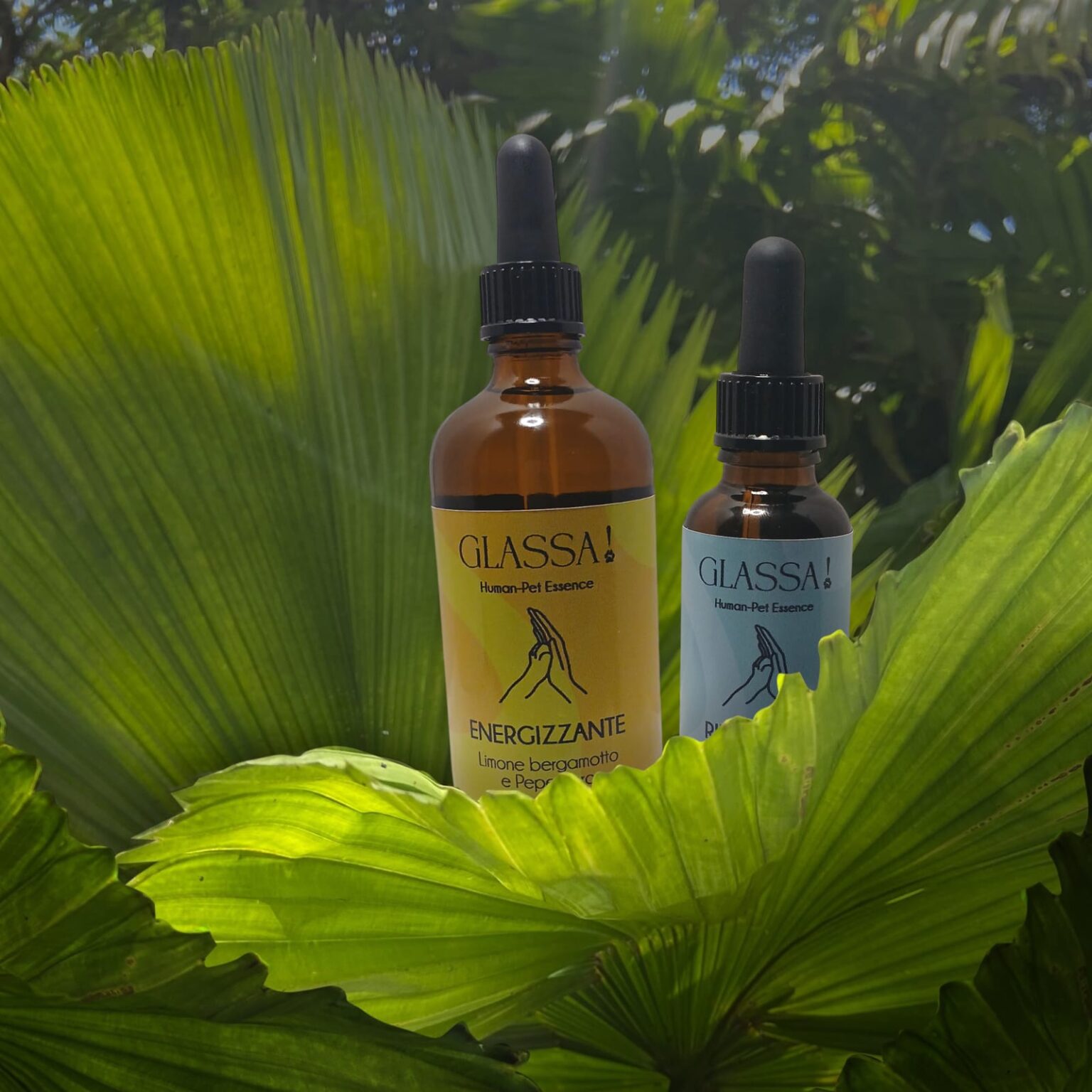 profumi per animali glassa